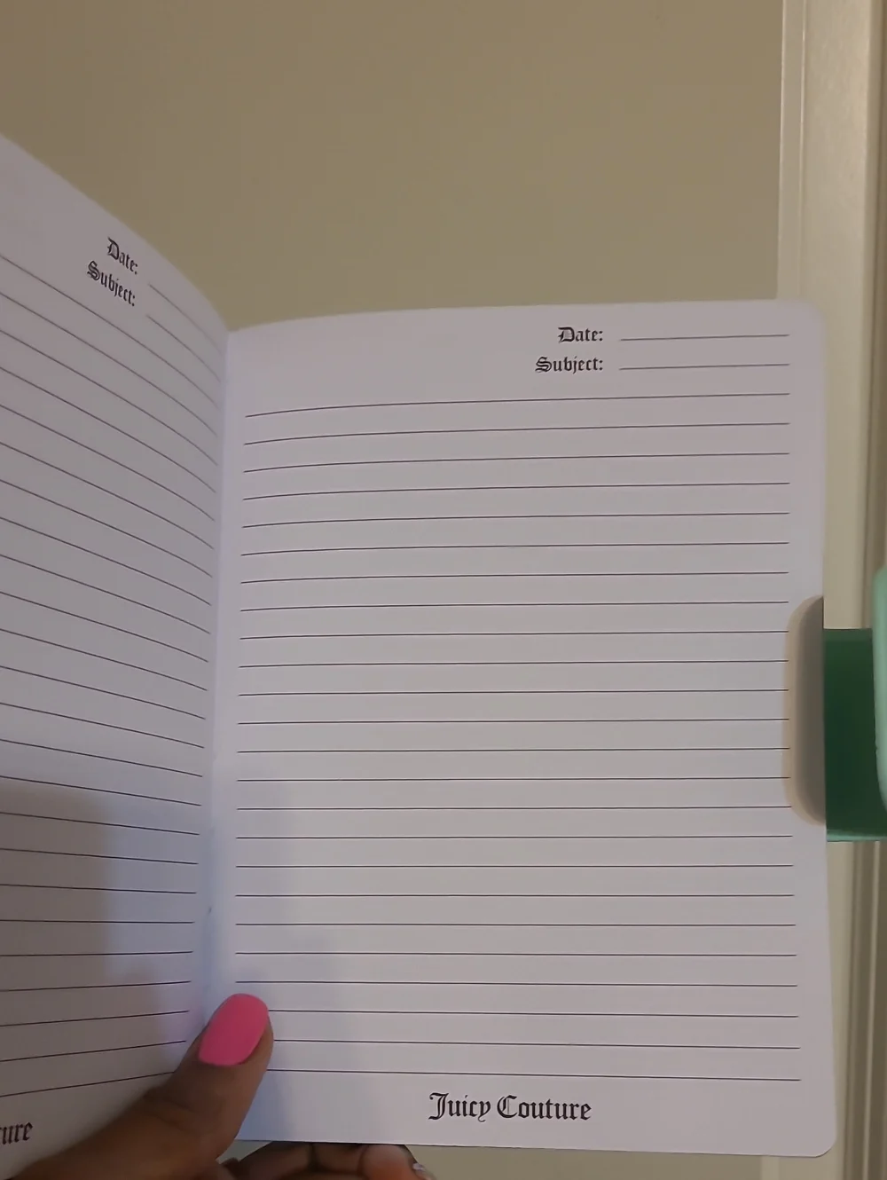 Juicy Couture Turquoise Butterfly Snap Journal